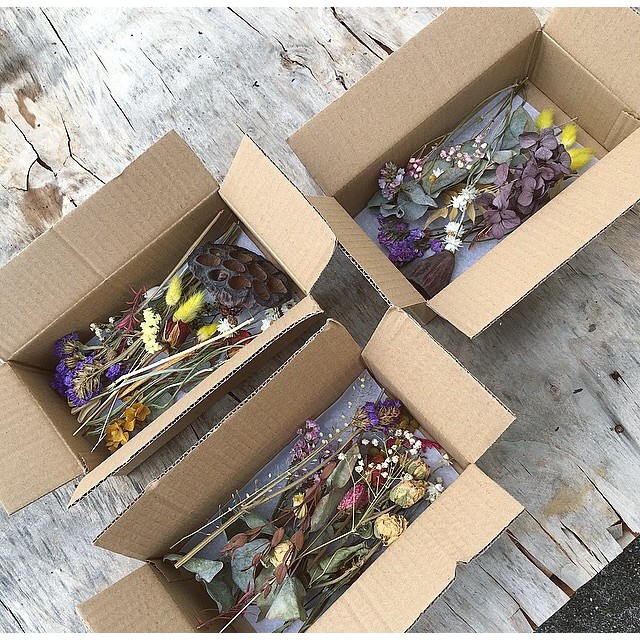 Mixed Dried Flowers In a Box Random Mixed DIY | Shopee Malaysia