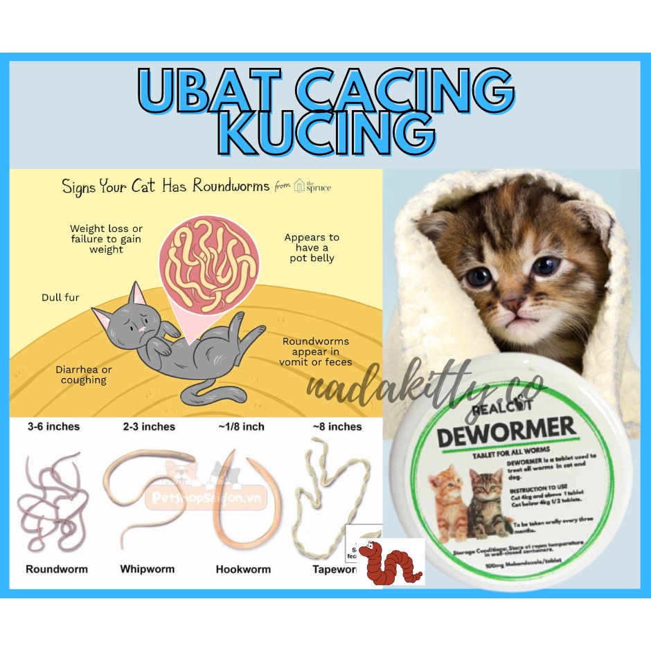 Ubat Cacing Dewormer Kucing Cat 2 Biji Shopee Malaysia