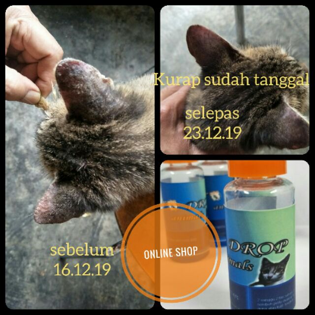 UBAT KUTU KURAP CACING KUCING ARNAB  Shopee Malaysia