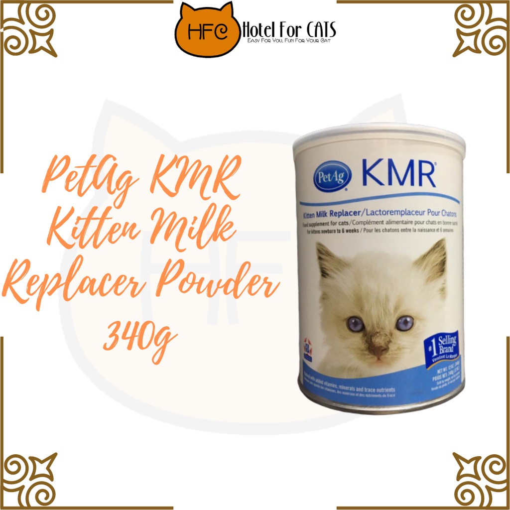 Best Kitten Formulas: The Best Nutrient-Rich Milk Replaces For Growing