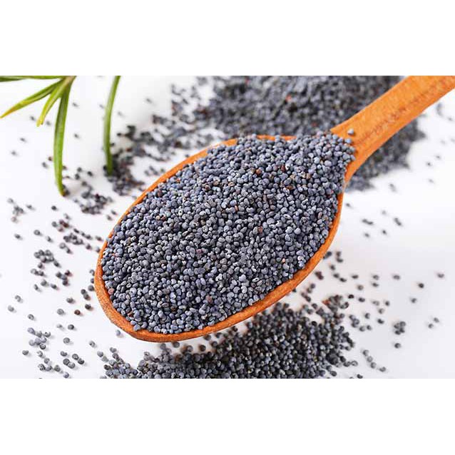 poppy seed in malay