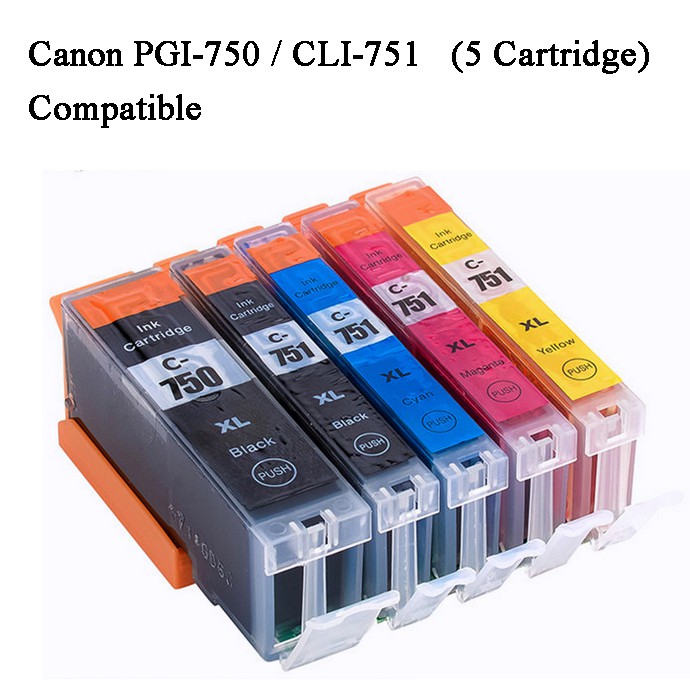 Canon PGI 750/CLI 751 Compatible ink Cartridge (PBK,BK,C,M,Y) | Shopee ...