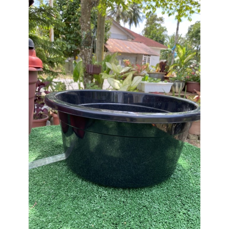 Buy Besen 38cm Ready Stock Seetracker Malaysia