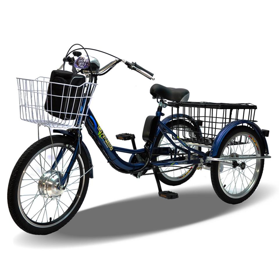 STONBIKE - 3 WHEEL 20" RIM Tricycle Electric Bike Bicycle ...