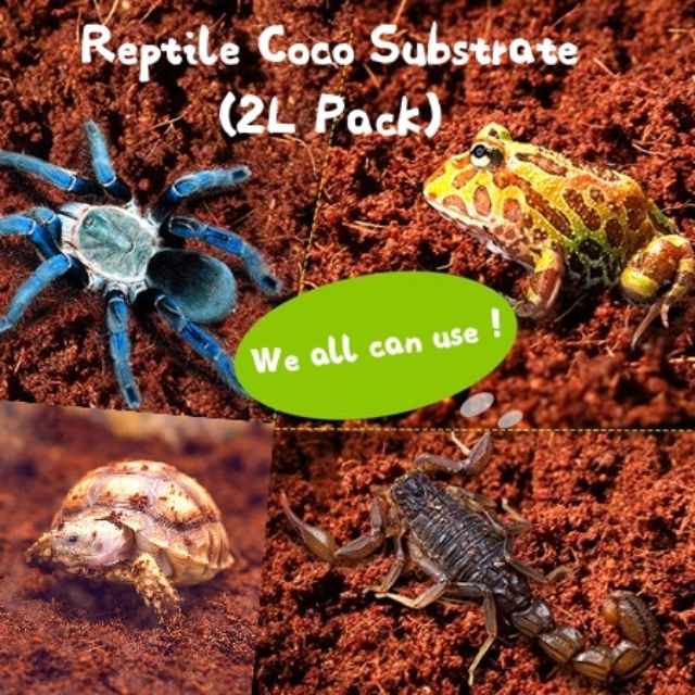 Reptile Coco Peat Coco Soil substrate 2.5L Pack Plantation Soil bedding