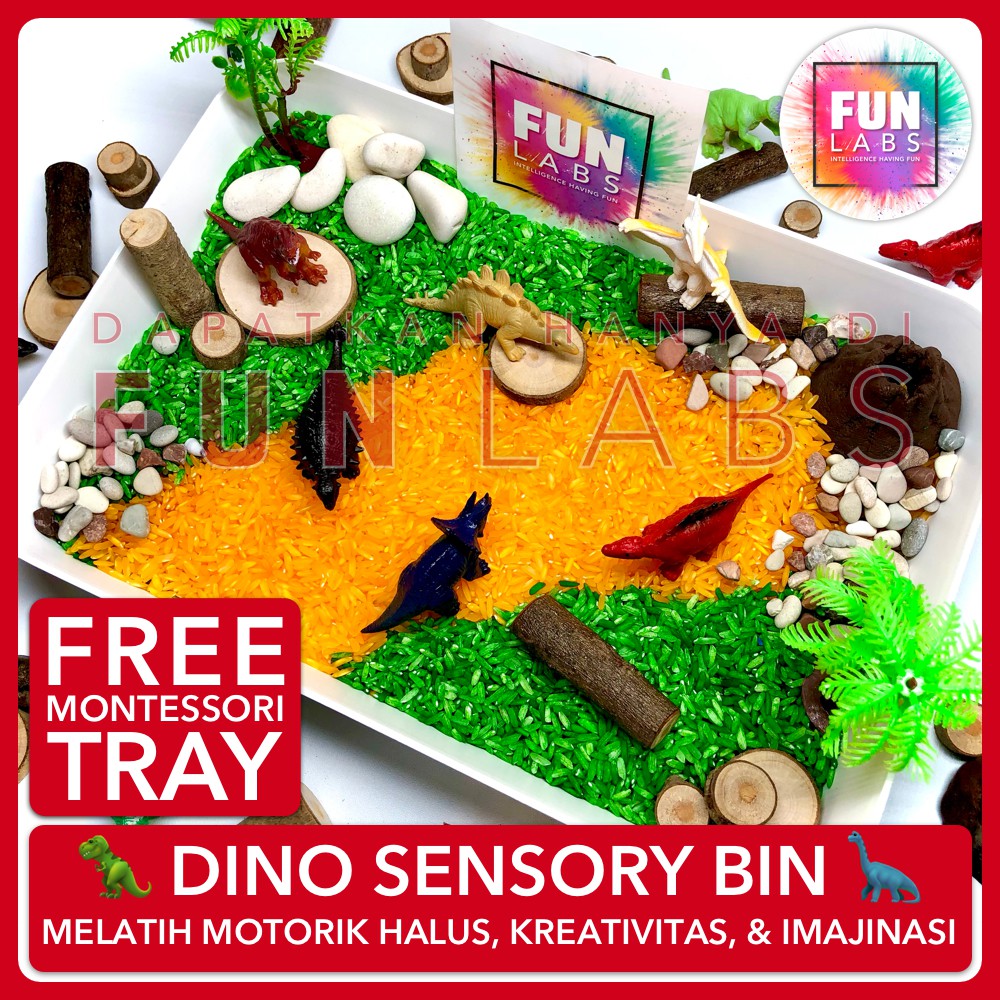 Dino Sensory Play Montessori Bin Tray Dinosaur Dinosaur Educational