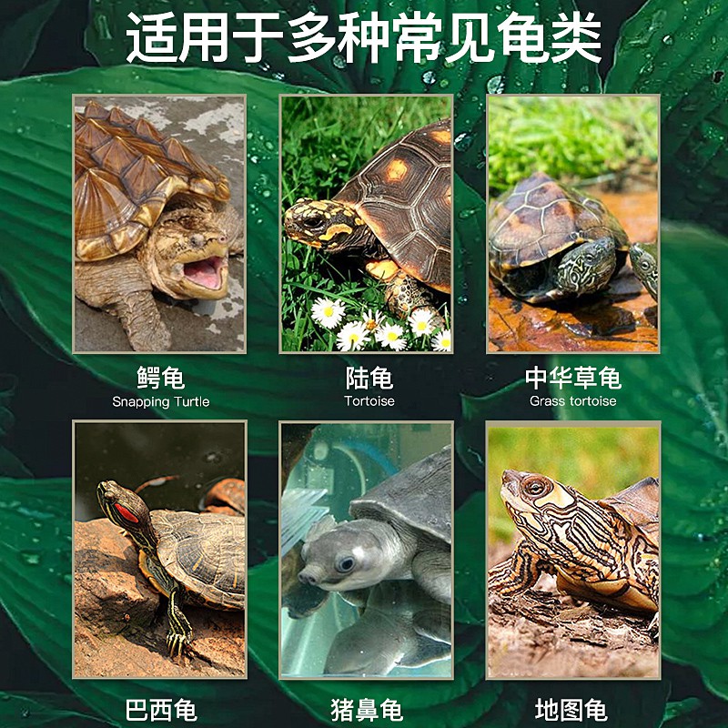 Turtle Medicine 消毒殺菌 白眼病 感冒肺炎 護龜液 真菌感染 腐皮 萬能 龜藥烏龜藥眼藥水專治紅眼白眼病藥眼腫流眼淚 眼部發炎病癥滴眼液