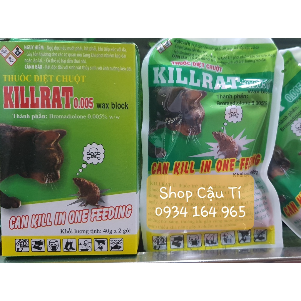 cat-and-rat-are-friends-cat-daily-news
