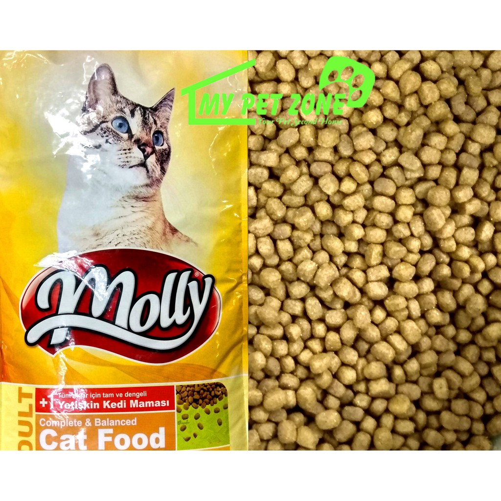 molly cat food