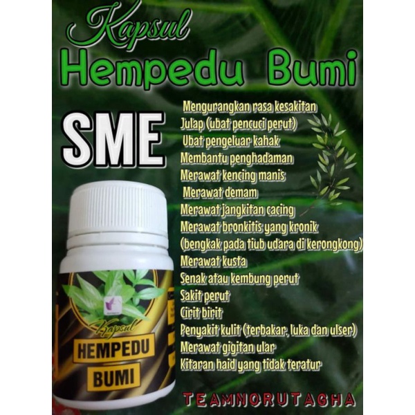 Cara Nak Hilangkan Rasa Hempedu Bumi