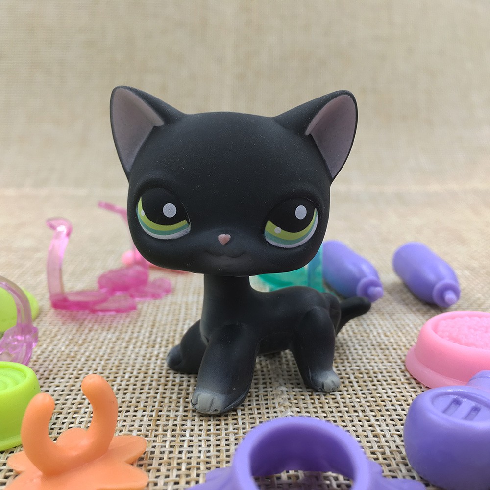 lps cat black