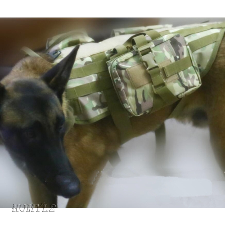 dog molle