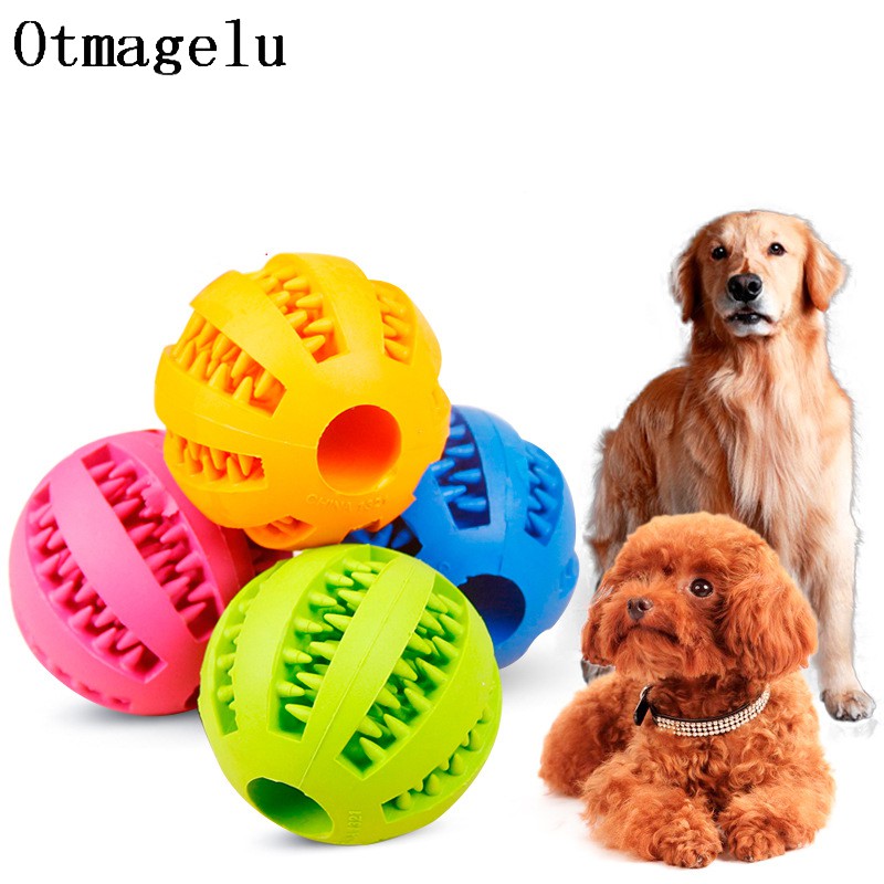 dog toothbrush ball