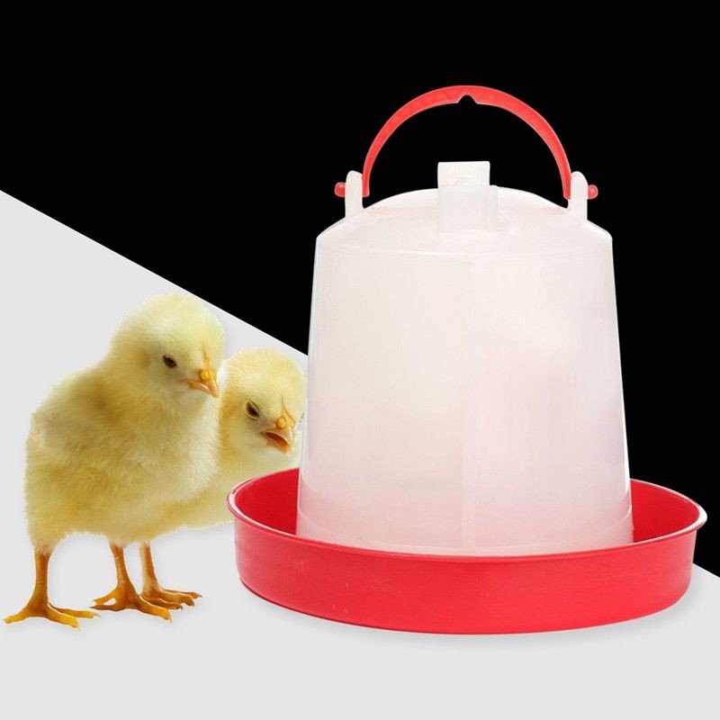 Hhdz123456 Chicken Feeder Drinker Poultry Chick Hen Quail Bantam