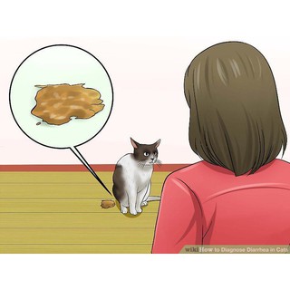 Ubat Kucing Susah Berak - Contoh Enem