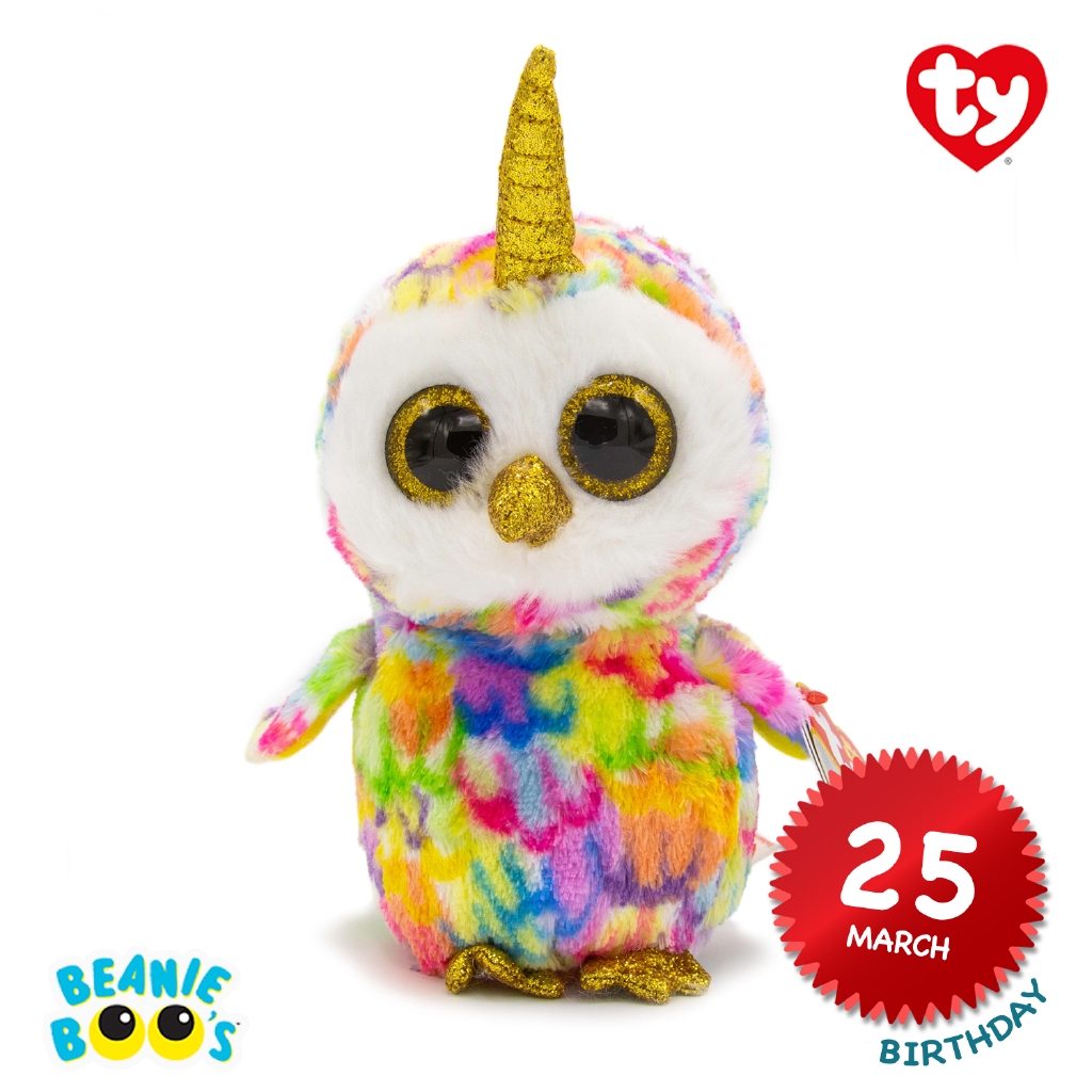 ty beanie boo enchanted