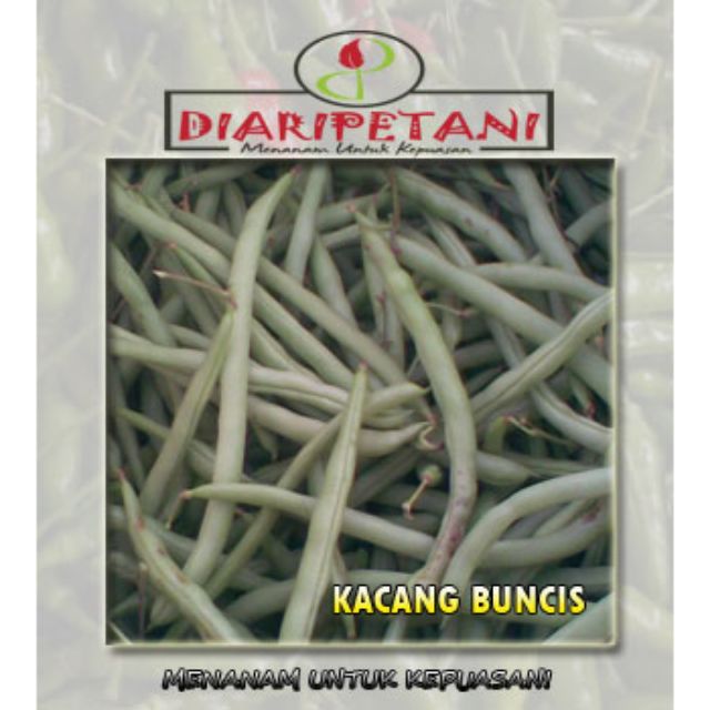 Benih Kacang Buncis Pek Kecil