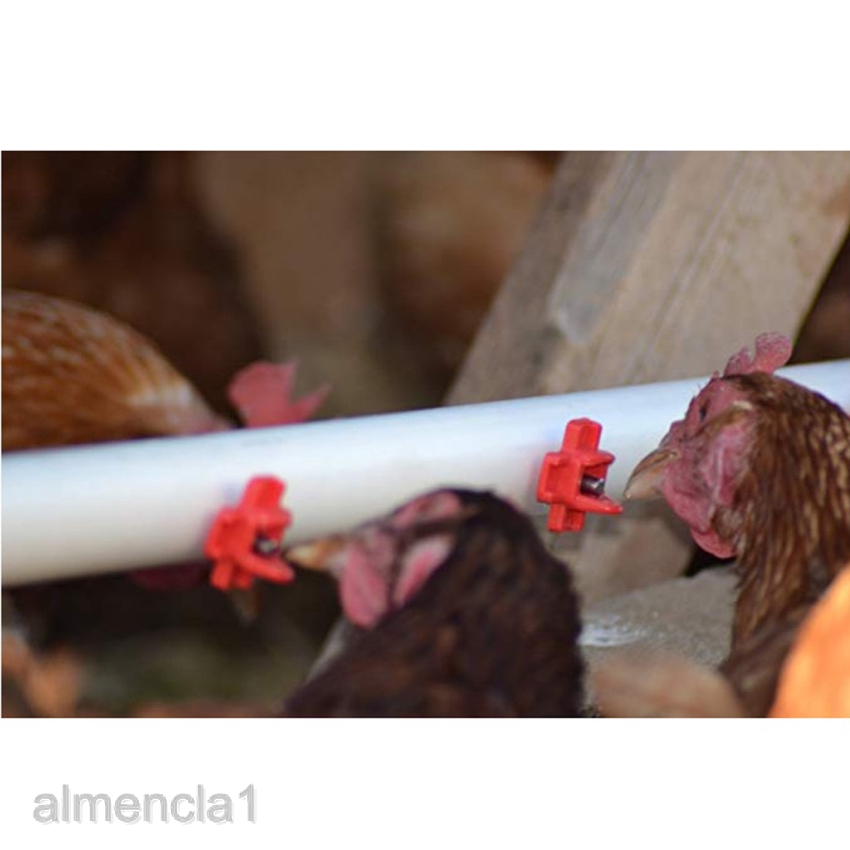 Ready Stock Cod 10pcs Automatic Chicken Water Nipple Drinker