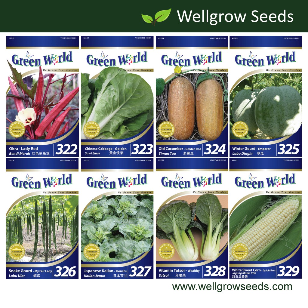 Green World Seeds GW322-GW329 Okra/ Cabbage/ Cucumber/ Gourd/ Kalian ...