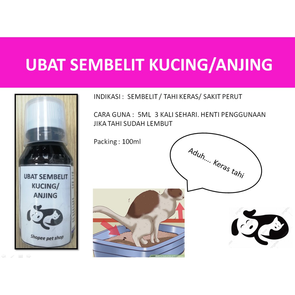 Ubat Sakit Perut Untuk Kucing - Kronis c