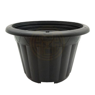  DIAMETER  22 CM  CHERRY POT  220 FLOWER POT  COLOR SELECTION 