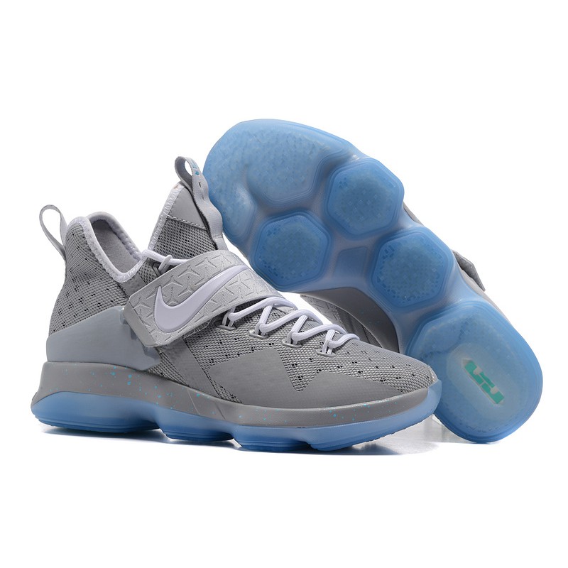 lebron 14 silver