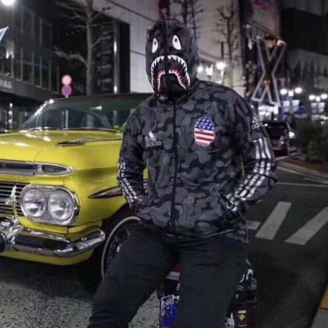 bape adidas hoodie 2019