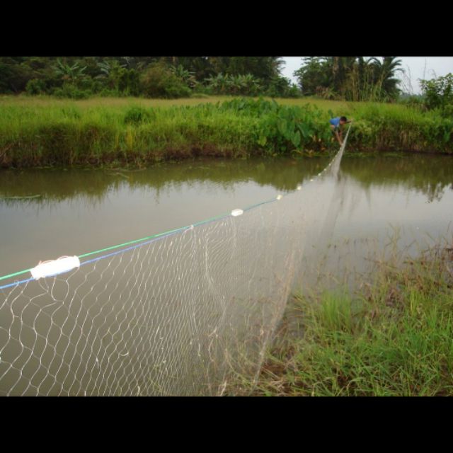 Harga Jaring Ikan Di Malaysia