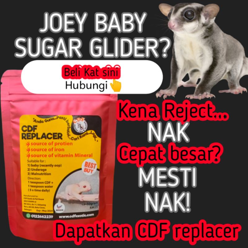Replacer sugar glider cdf(joey) Shopee Malaysia