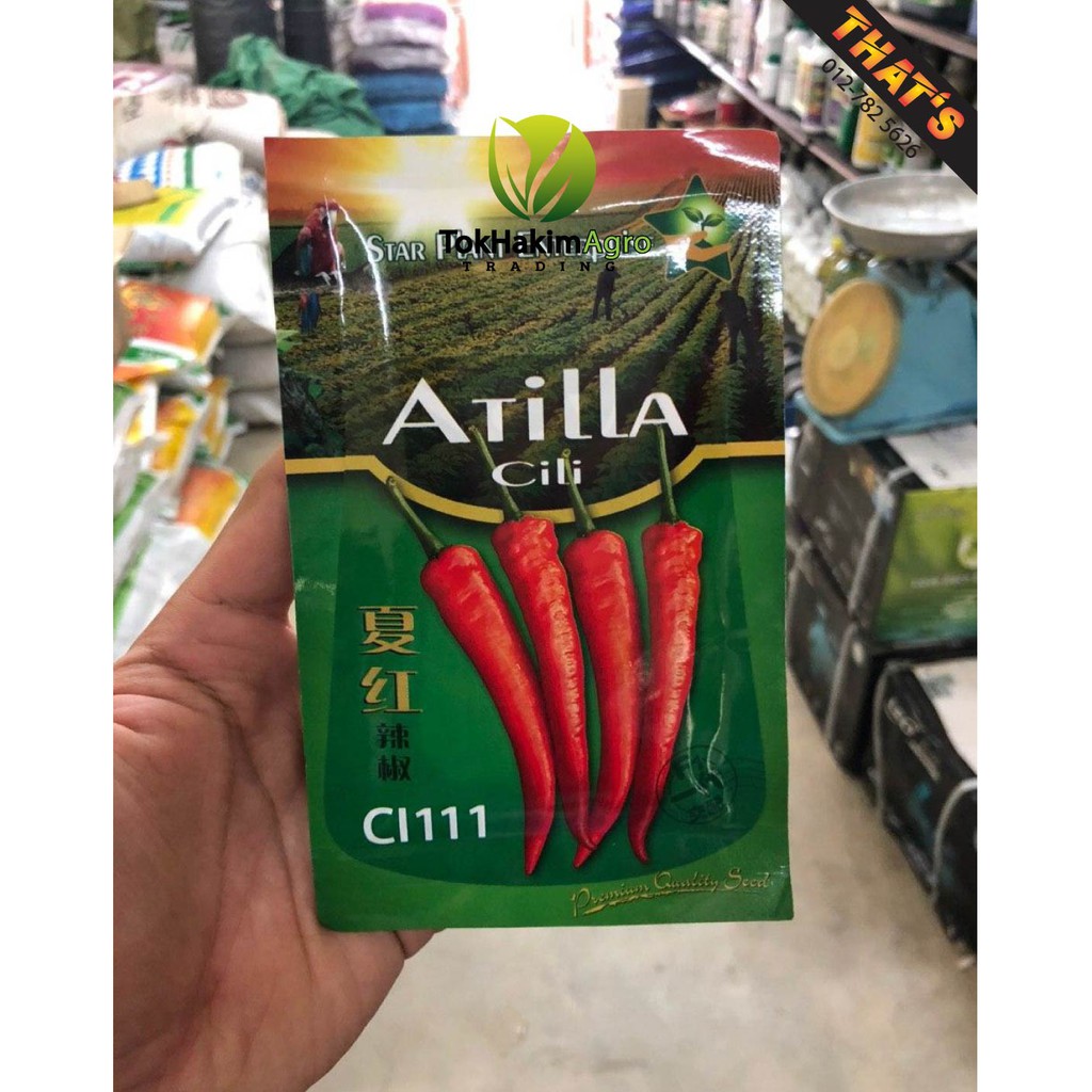 Benih Cili Besar Atilla Ci111 10gm Shopee Malaysia