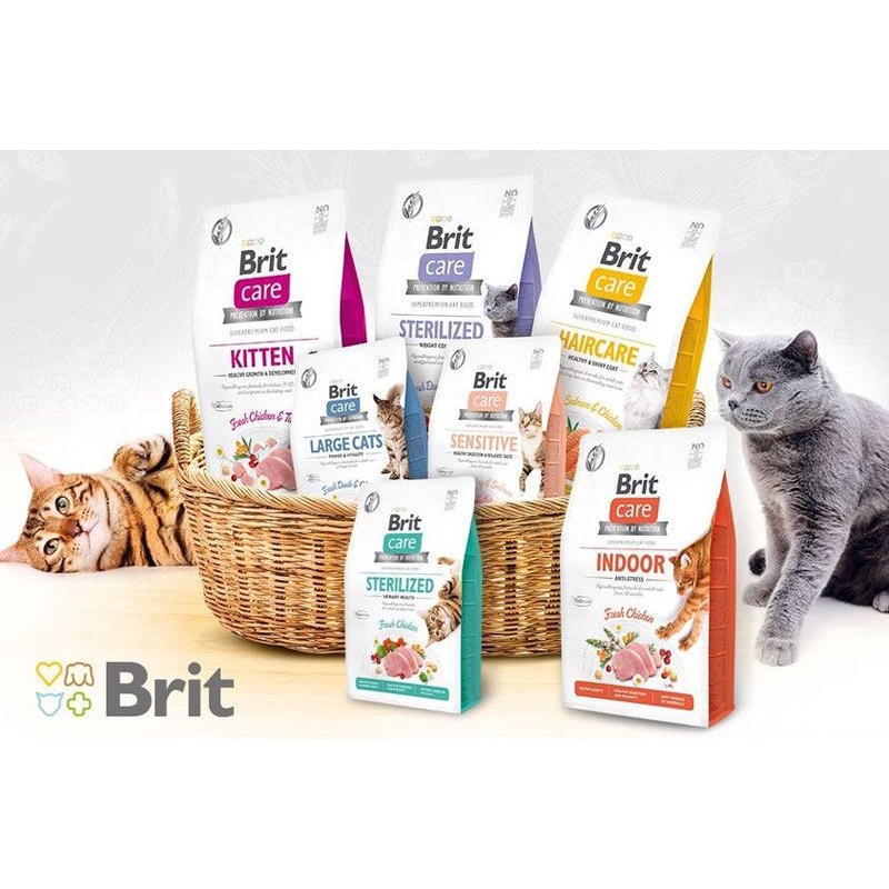 Корм брит для кошек. Brit Care для кошек 4605427220046. Brit Care для котят. Линейка Брит для кошек. Брит каре для котят.