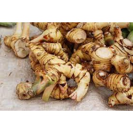 Blue Ginger Galangal Lengkuas Fresh Galangal Lengkuas Segar 300g Shopee Malaysia