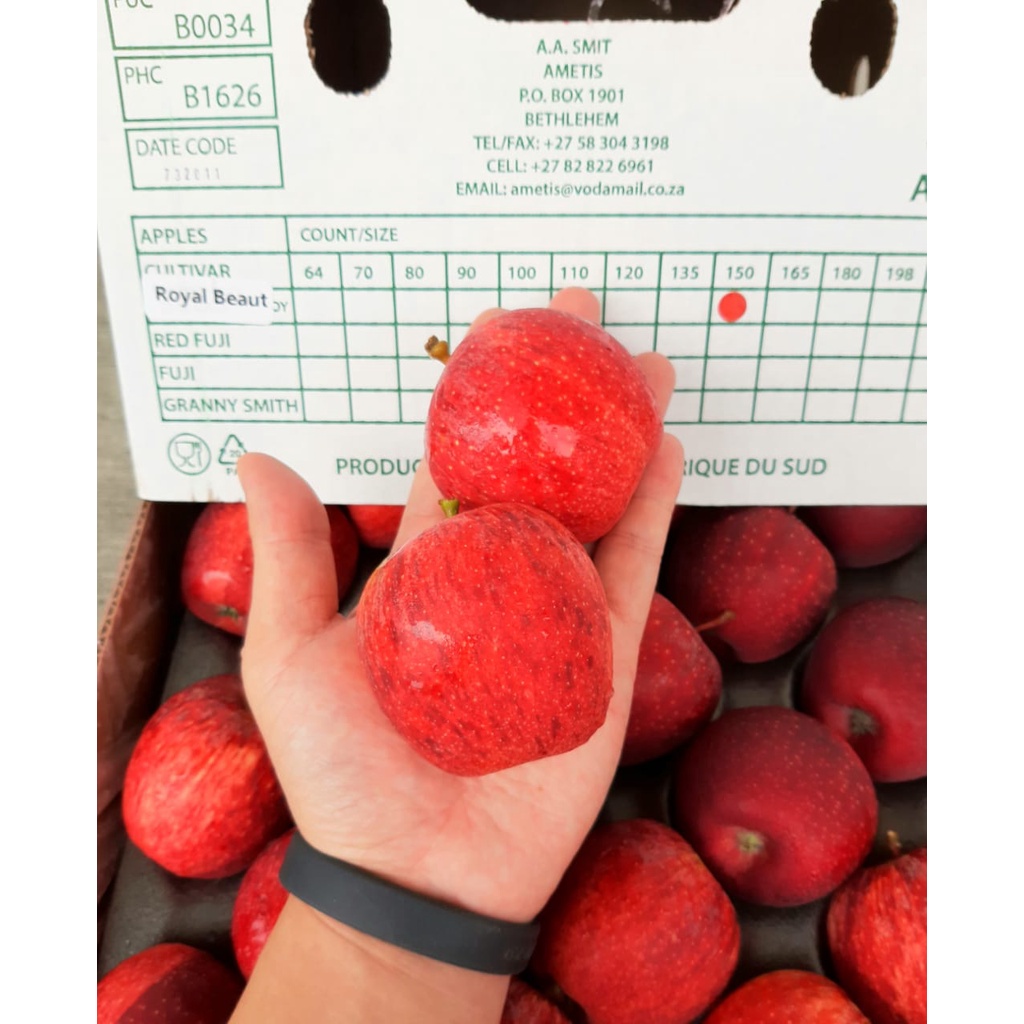 Red Apple SA Royal Beauty CN Pink Lady 120's (5pcs, 10pcs, 20pcs)