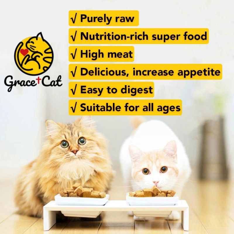 Freeze Dried Cat Raw Meat Pet Treats 宠物冻干猫狗零食 Makanan 
