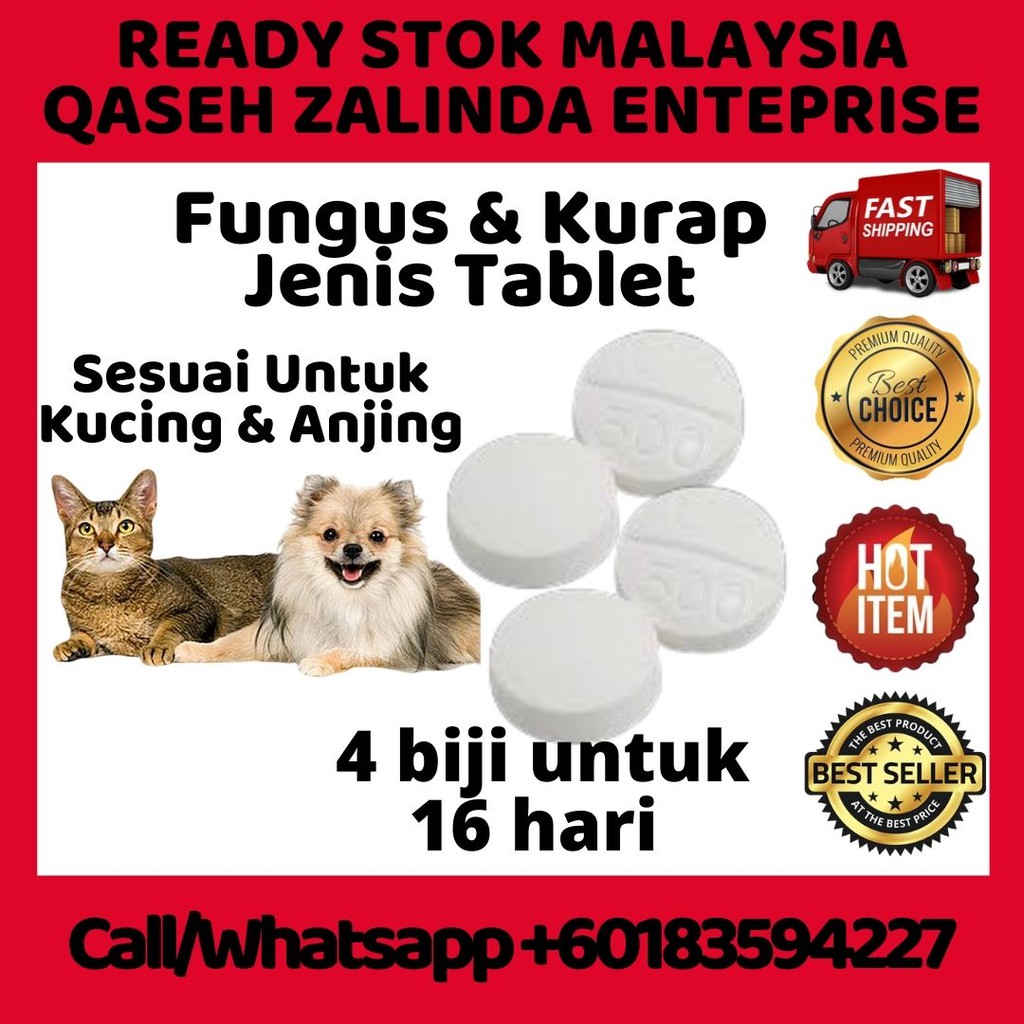 Highly Recommended Ubat Fungus Kurap Kucing Dewasa Kitten