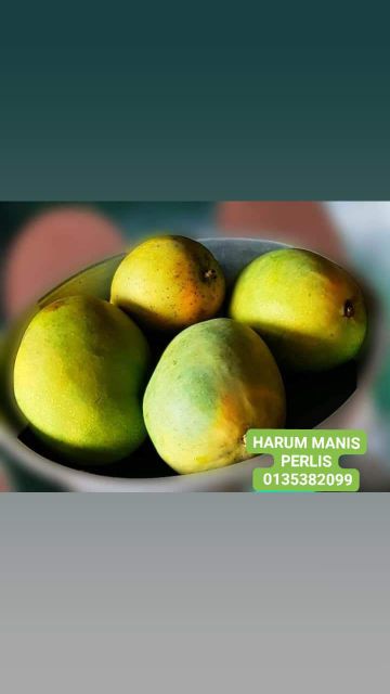 Buah Harum Manis Perlis Shopee Malaysia