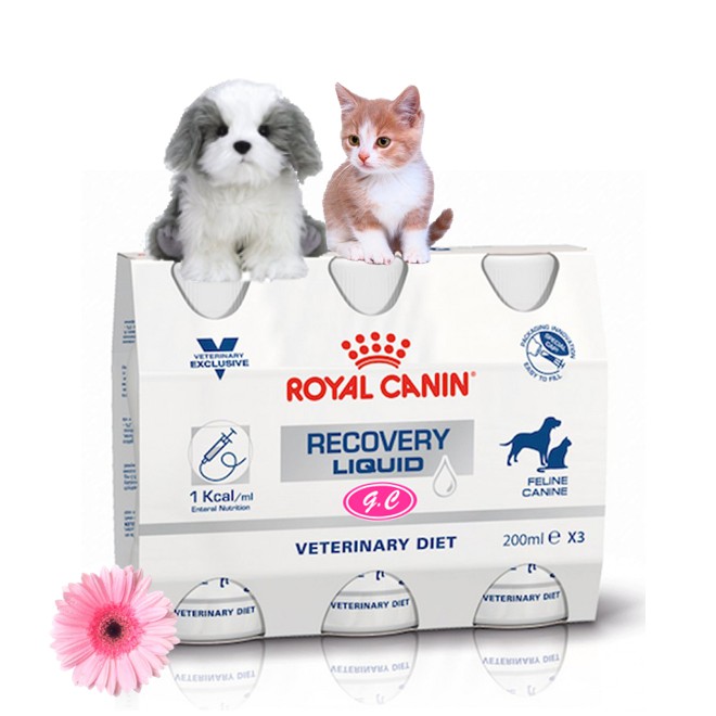 royal canin recovery liquid diet