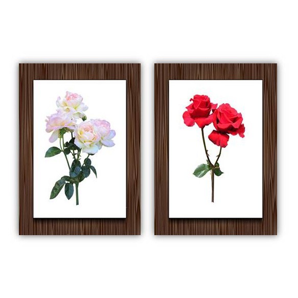 HIASAN DINDING GAMBAR  BUNGA  ROSE PRINTABLE A4 A3 SIZE 