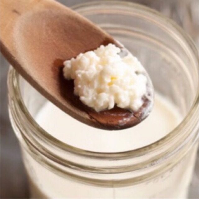 Milk Kefir Grains + FREE Gift Shopee Malaysia