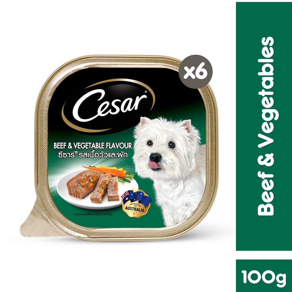 CESAR Dog Food Premium Dog Wet Food in Beef and Vegetables Flavor (6