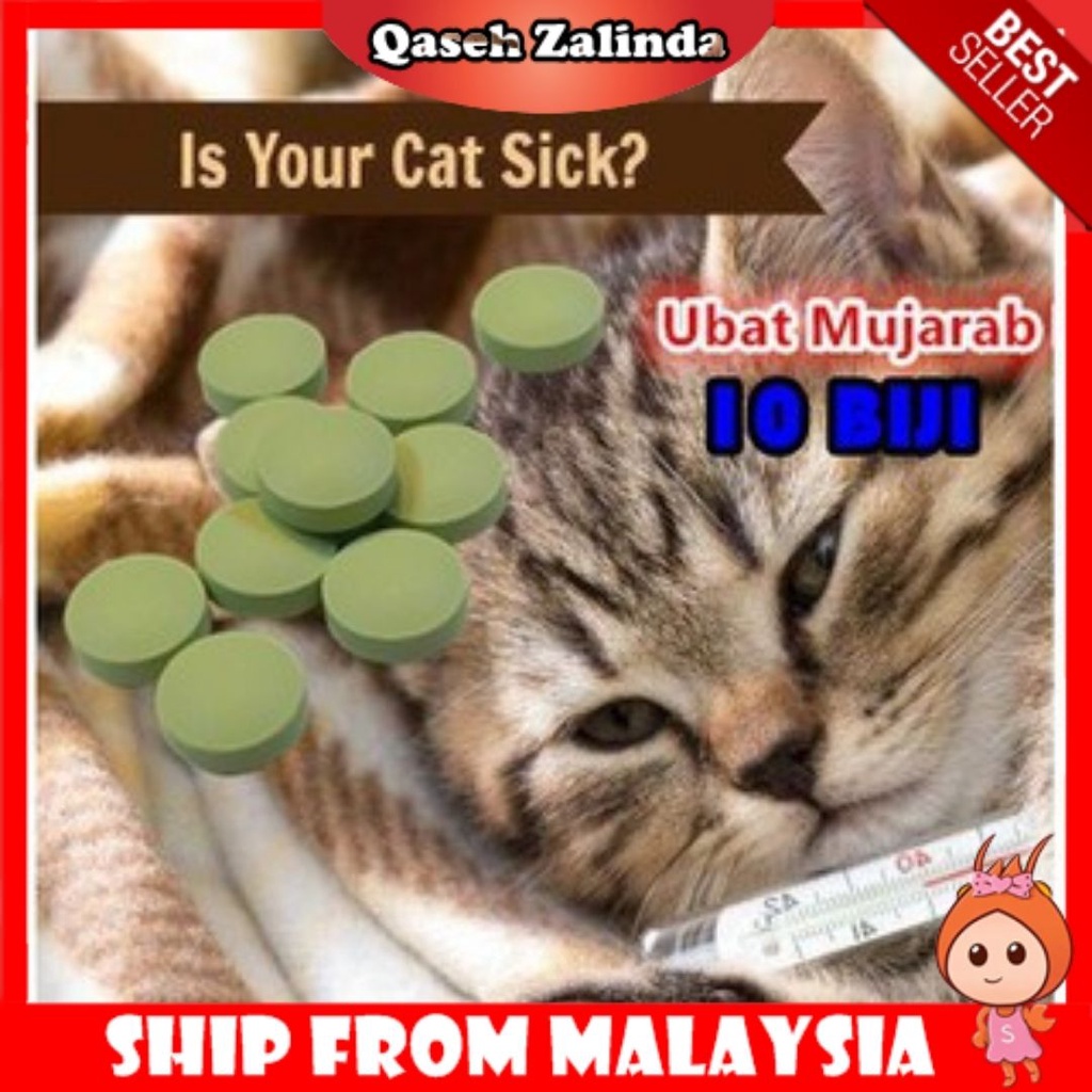 Ubat Selsema Kucing Deman/Batuk/Flu Treatment For Cat & Dog Cold Cough