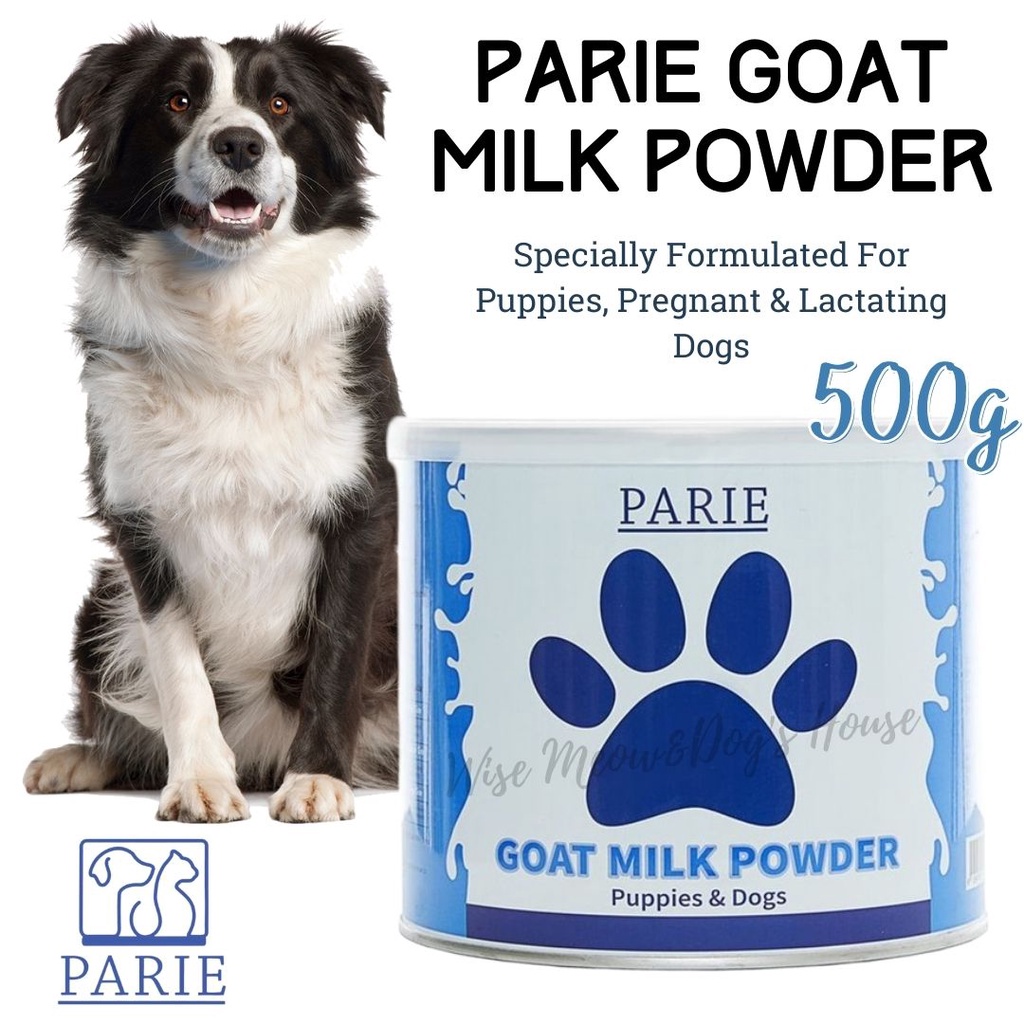 is-goat-milk-good-for-pregnant-dogs