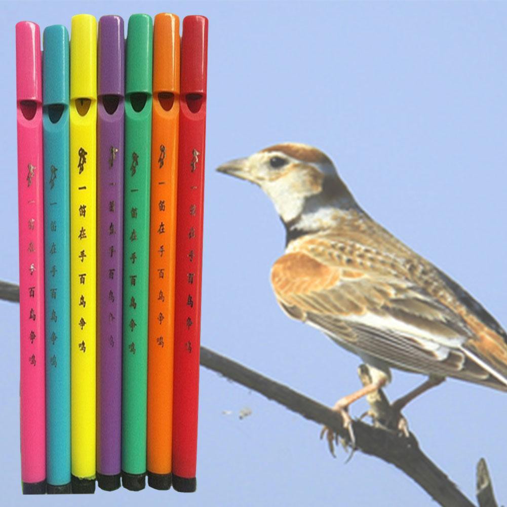 NEW Magic flute MUSICAL folk music to imitate bird calls of the child's toy BE
