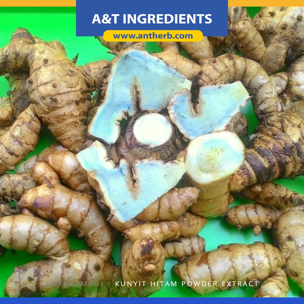 Temu Hitam Pink And Blue Ginger Curcuma Aeruginosa Powder Extact Halal Certified Shopee Malaysia