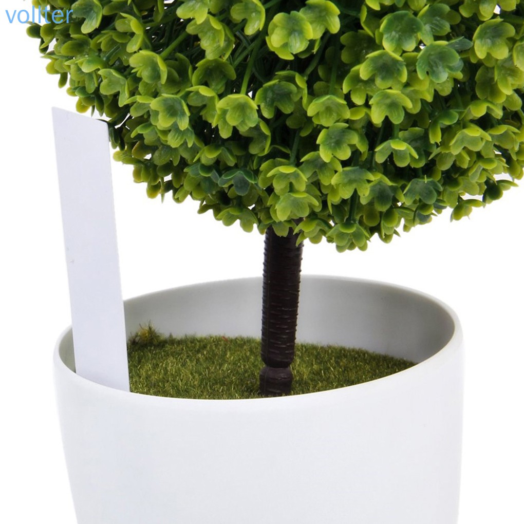 Essential Reliable 100PCS/Set Tree Fruits Seedling Garden Flower Pot Plastic Tags Sign Reusable Plants Tag Labels VOL... - Image 3