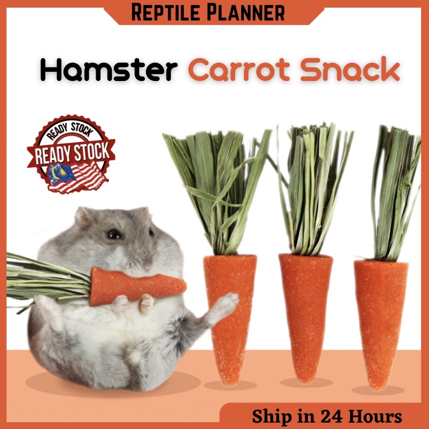 Bucatstate Carrot Natural Grind Teeth Hamster Snacks Hamster Natural