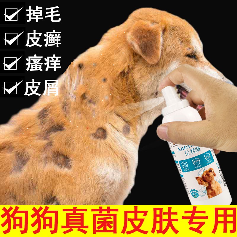 Dog fungus hair removal skin disease drugs for external use 120ml eczema  dermatitis hair loss itching dog body long ring | Shopee Malaysia