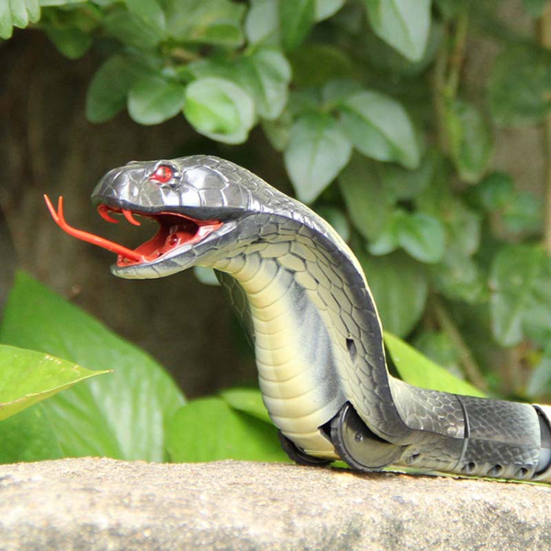 remote control king cobra toy