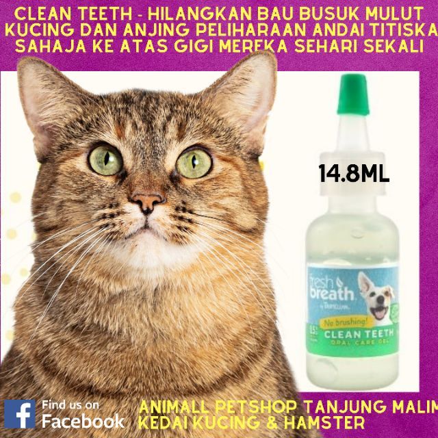 Mulut Kucing Busuk Hilang Tropiclean Fresh Oral Care Gel For Cats Shopee Malaysia