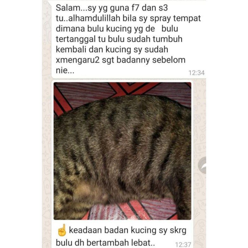 🔥Spray F7 PS Herbs untuk Kucing/ Haiwan/ Manusia bagi rawatan 